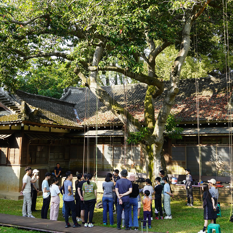 城市森林日活動