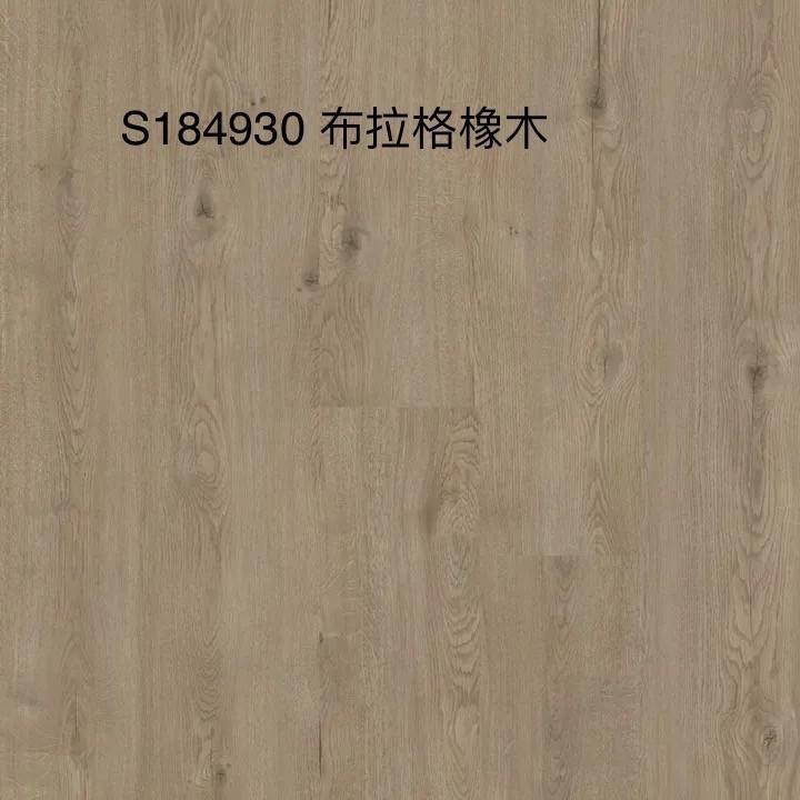 S184930 布拉