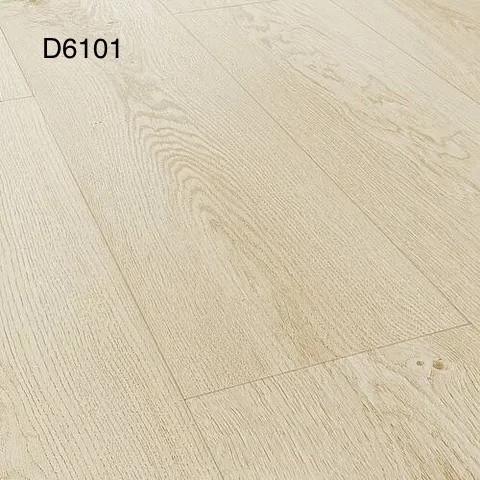 D6101