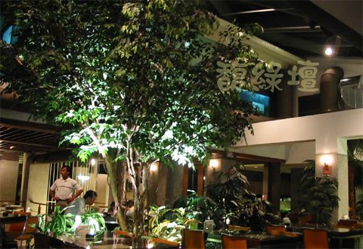 嘉義市椰子餐廳(榕樹)