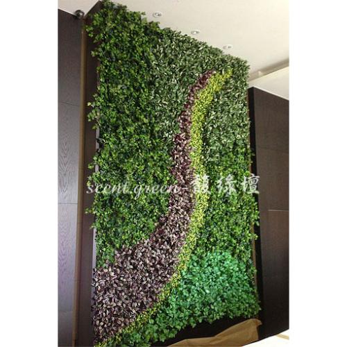 五股樣品屋-植生牆綠化
