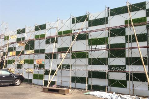 樣品屋-植生牆綠化