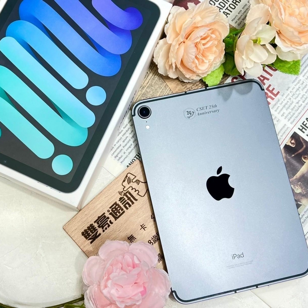 iPad mini 6 256g 灰 LET 稀有版本 15.7.2 電池80% 循環905次 背面