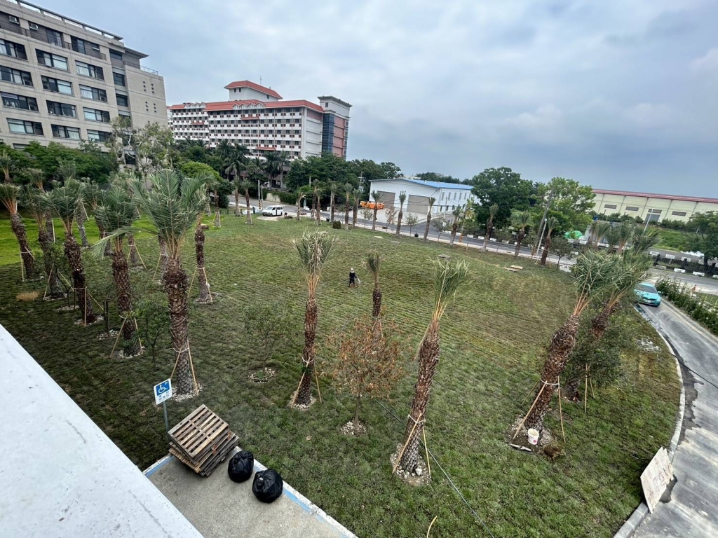 台南草皮施工/地毯草800坪施工