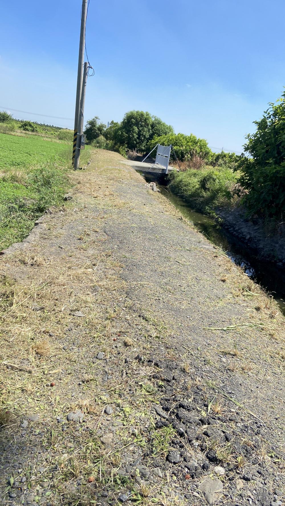 【南州除草】七塊厝農地道路除草收草