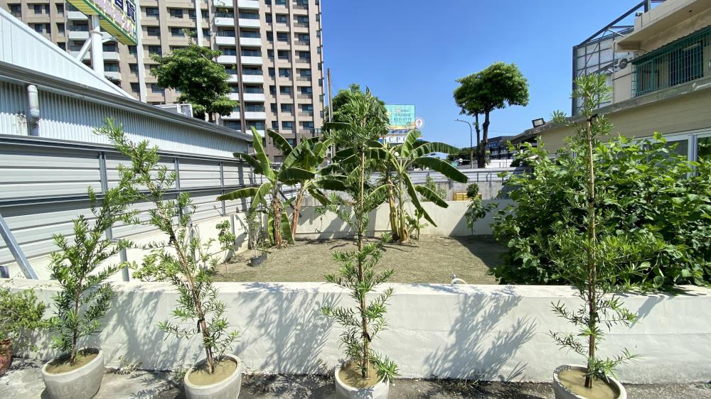 【高雄樹木種植】小港庭院除草整理及樹木種植換盆