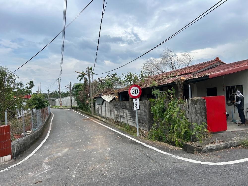 【屏東樹木鋸除】竹南村樹木鋸除工程