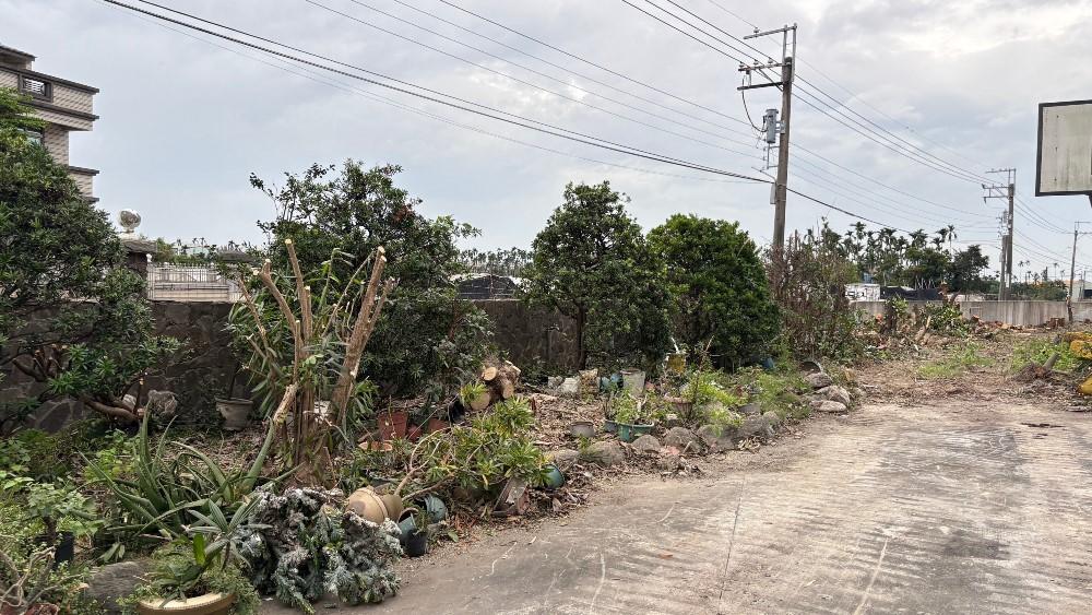 【屏東樹木鋸除】公成路農舍樹木修剪及樹枝葉清運工程